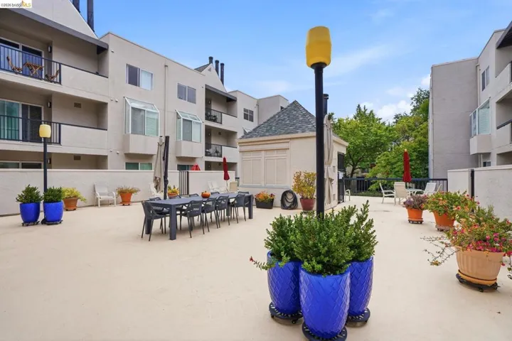 Expansive outdoor patio area featuring a light-colored surface, multiple potted plants, and surrounding multi-level residential structures