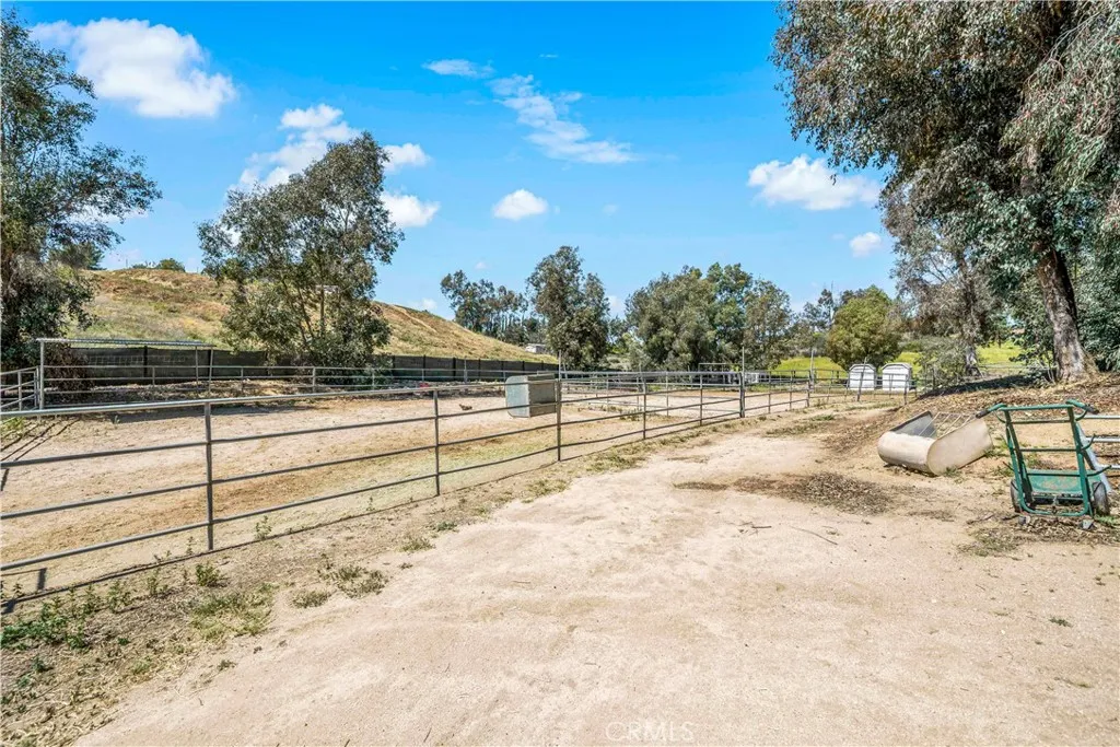 Room for Multiple Horses Room for Multiple Horses