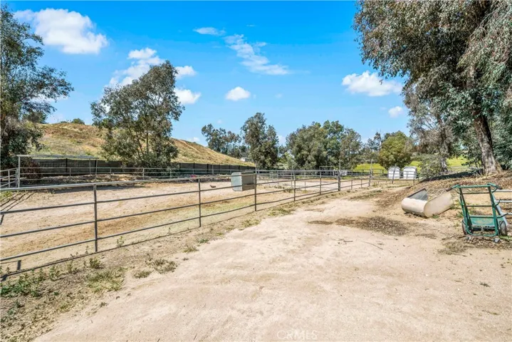 Room for Multiple Horses