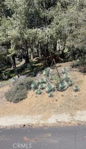 Land Picture2
