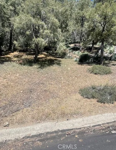 Land Picture1