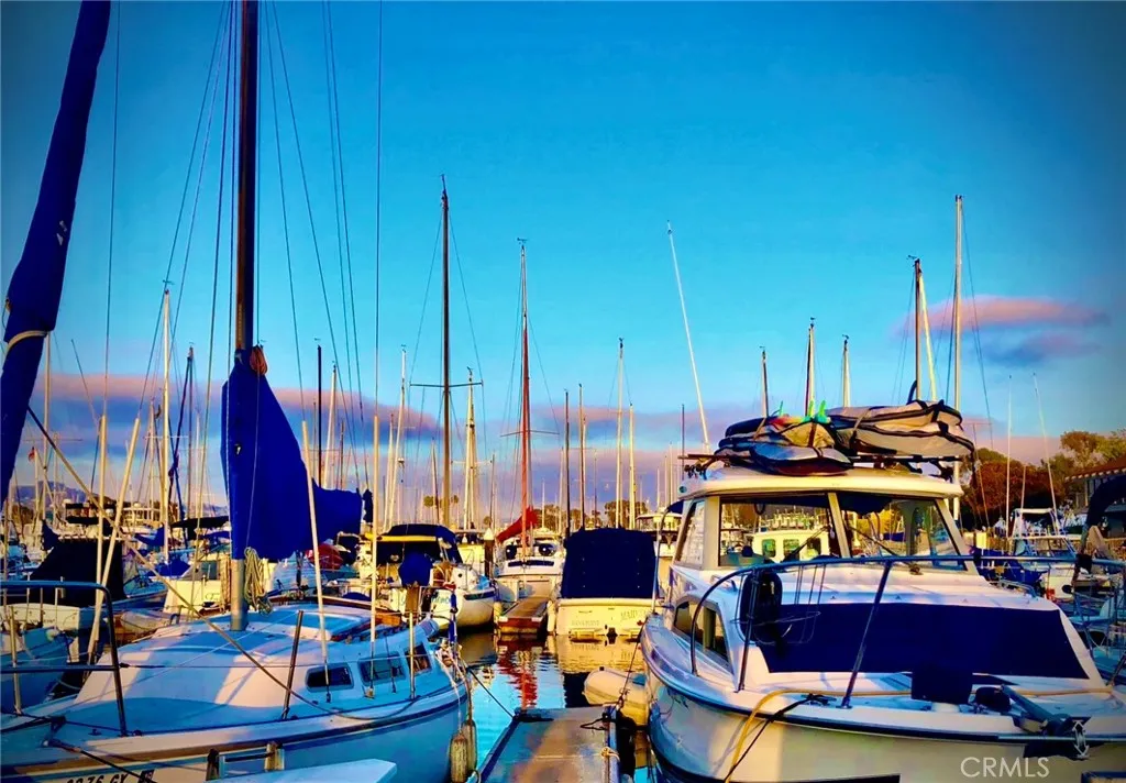 The nearby Harbor features shops, restaurants, chartered, fishing  boats, the Marine Institute, daily boats to Catalina Island, the recreation center, sailing lessons hiking trails,and acres of protected lands
