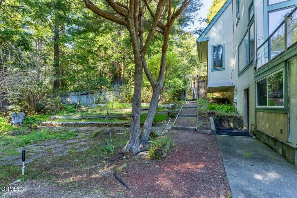 Side Yard