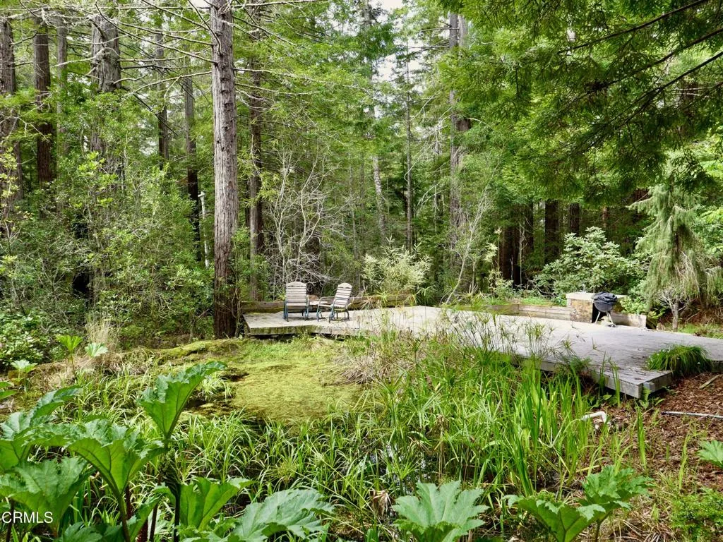 Pond and Deck