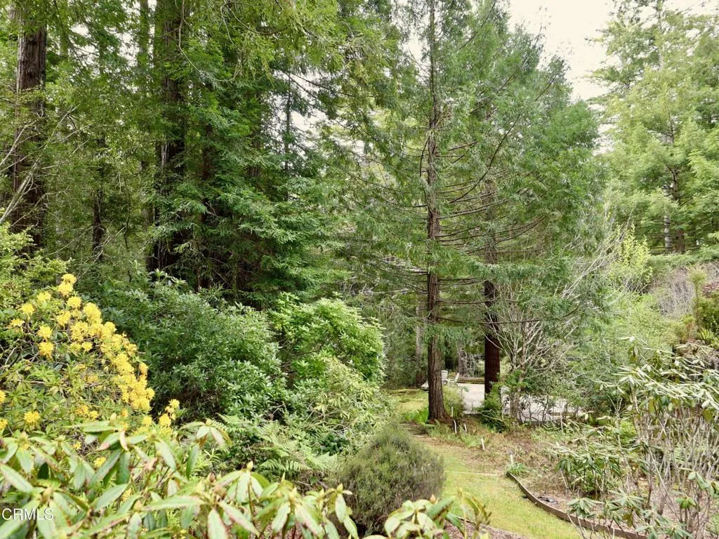 Garden Path