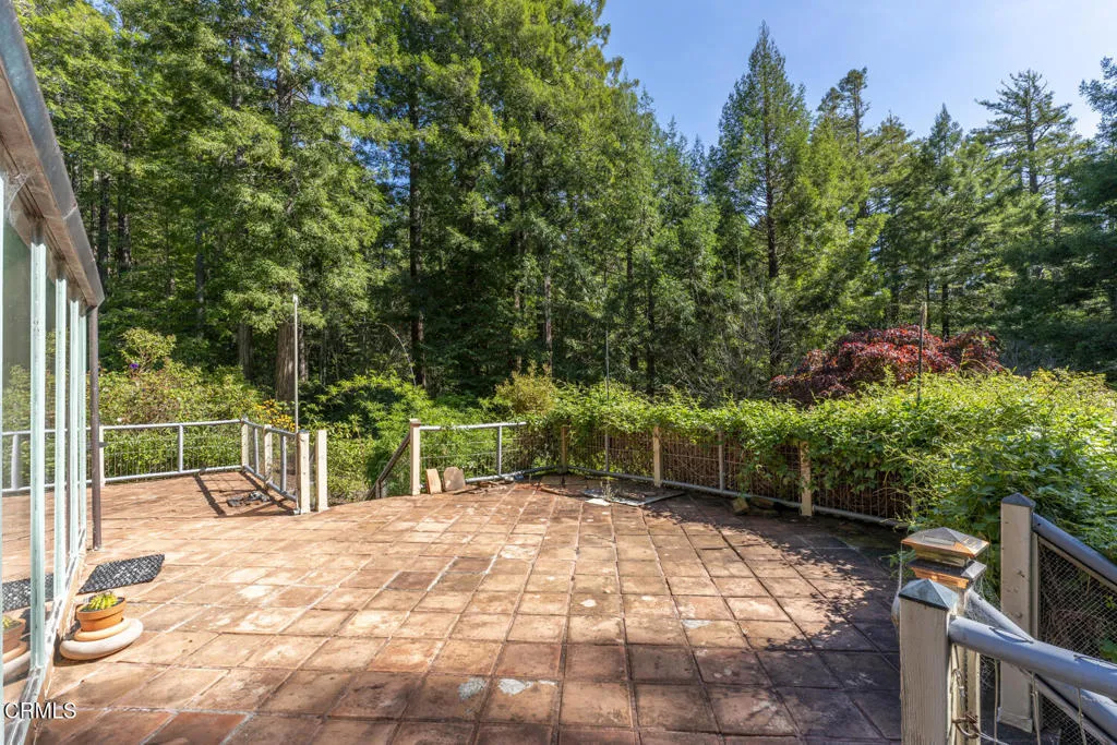 Rear Patio
