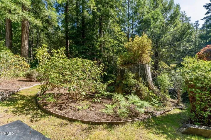 Garden Detail