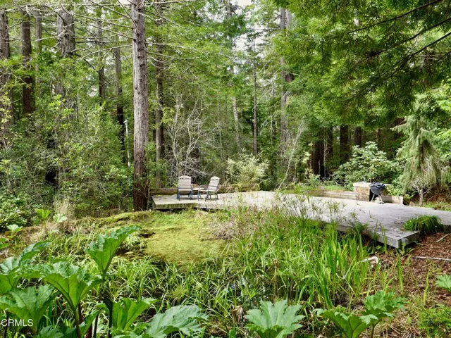 Pond and Deck