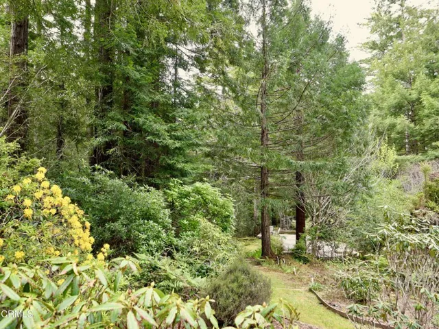 Garden Path