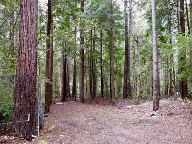 Additional Parking