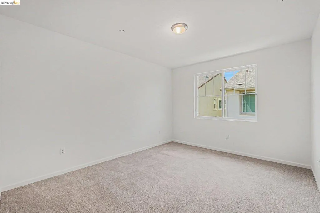 Carpeted room with a single window and flush mount ceiling light
