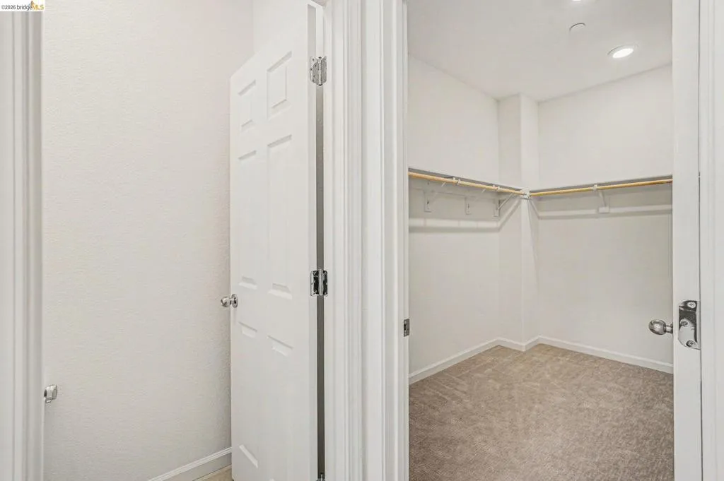 Walk-in closet featuring light beige carpeting, white walls, built-in wire shelving, and wood rods