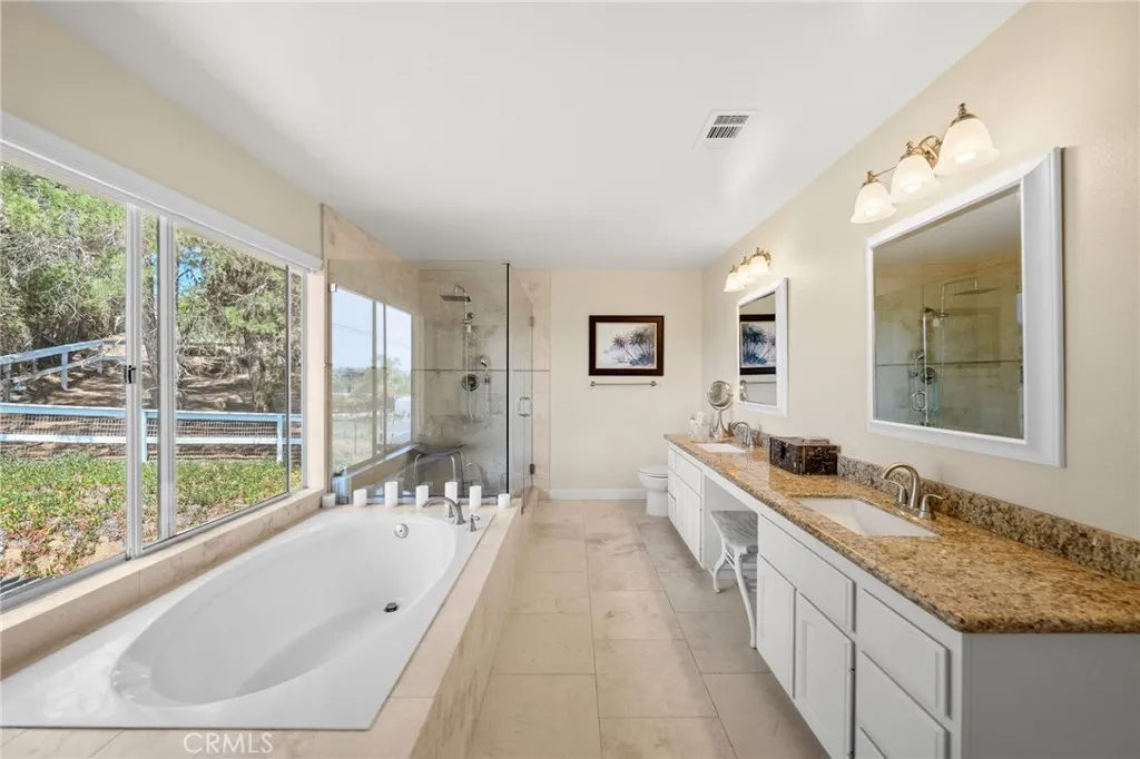 Large & Bright Primary Bath