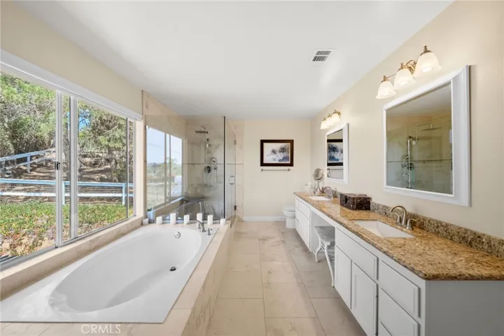 Large & Bright Primary Bath