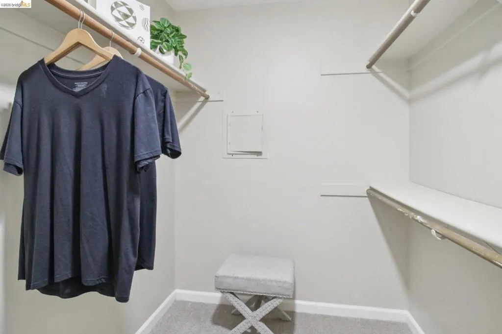 Walk in closet with light colored carpet