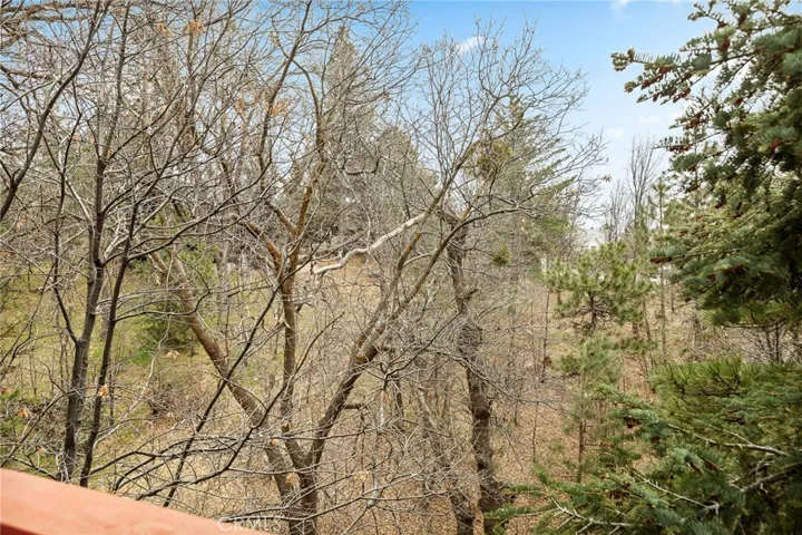 Mature pine and oak trees provide seasonal colors