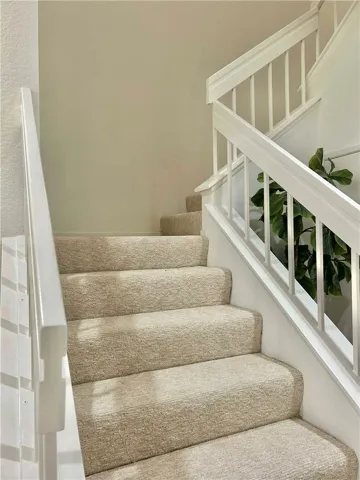Newly installed high end carpet