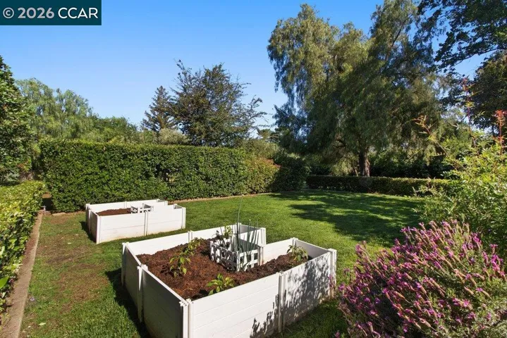 Garden boxes