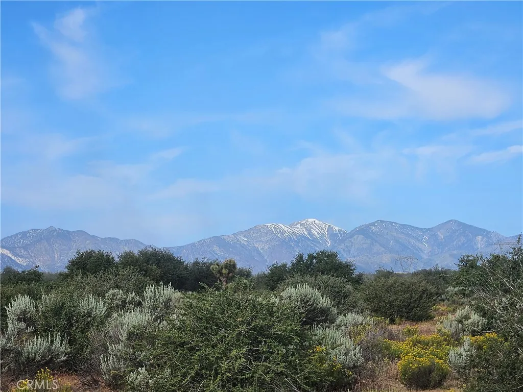 357 311-02, Oak Hills, California 92344 — photo 4