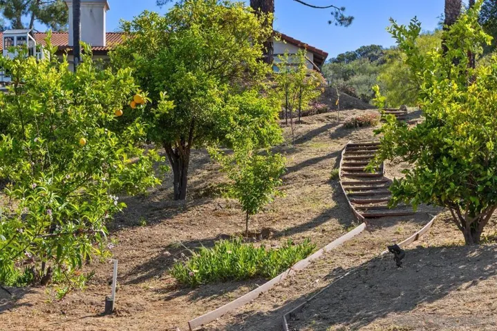 23969 Nectar Way, Ramona, California 92065