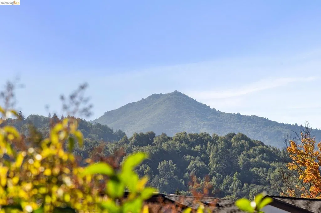 Beautiful view of Mt. Tam