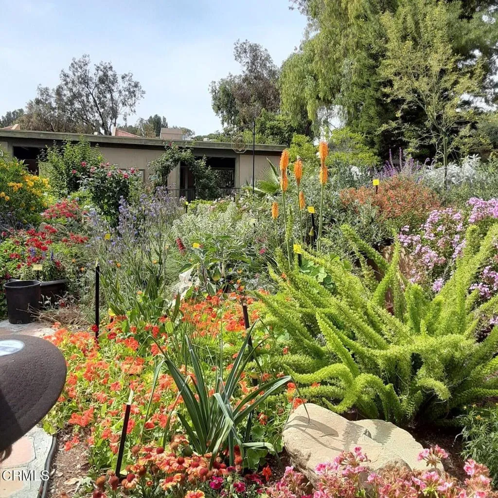Butterfly Garden #3 of 5