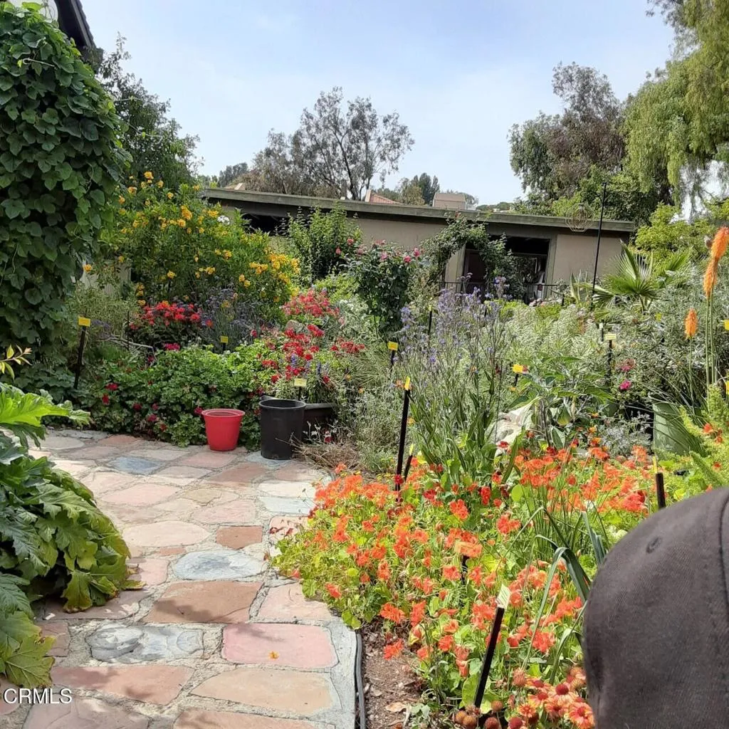 Butterfly Garden #2 of 5