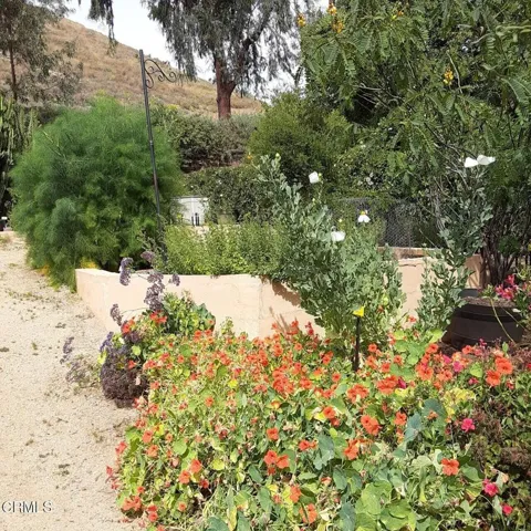 Butterfly Garden #5 of 5