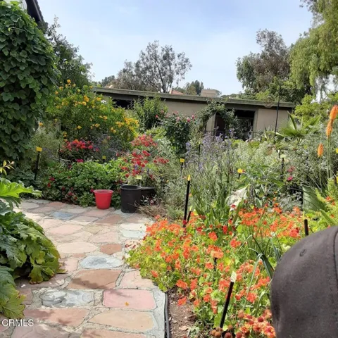 Butterfly Garden #2 of 5
