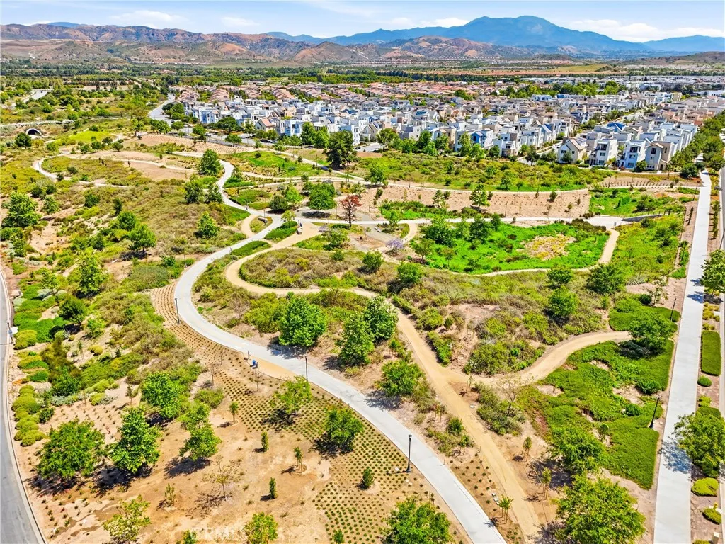 A view of the trails