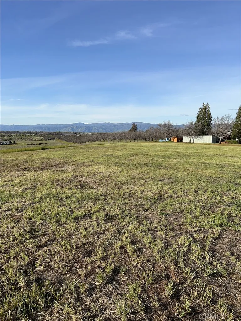 One of several possible homesites