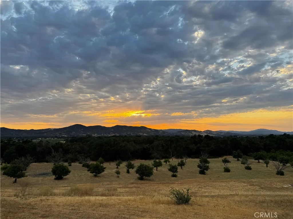 This orchard is on the neighbor's property, but you get the view of it and the mountains in the background.