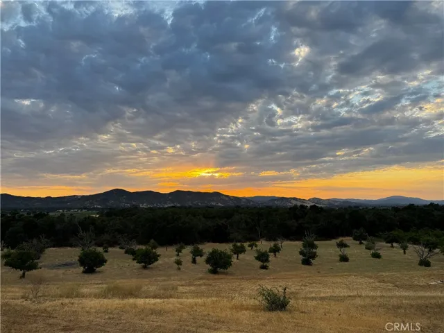 This orchard is on the neighbor's property, but you get the view of it and the mountains in the background.