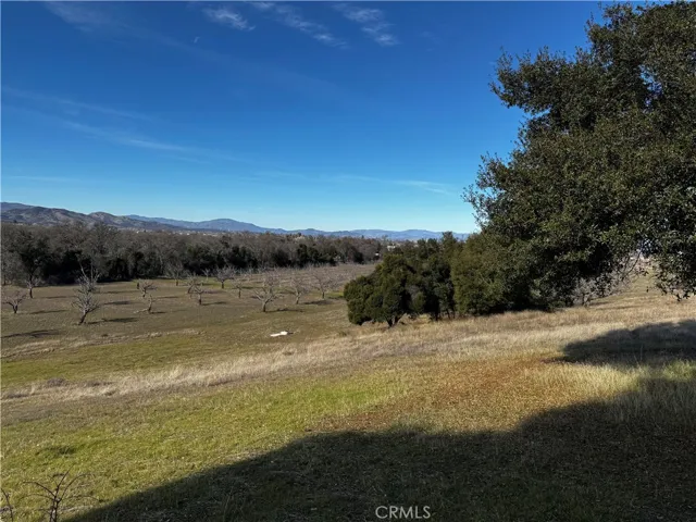 View of the neighboring orchard and mountains in the distance
