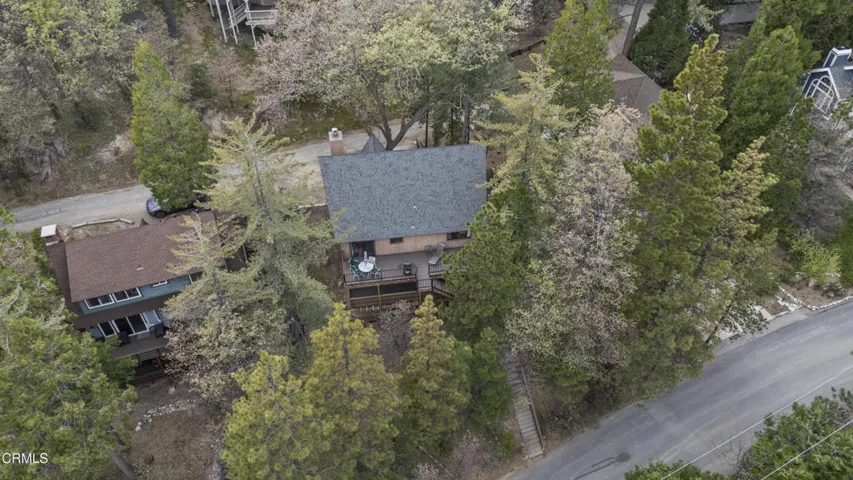 Drone overview