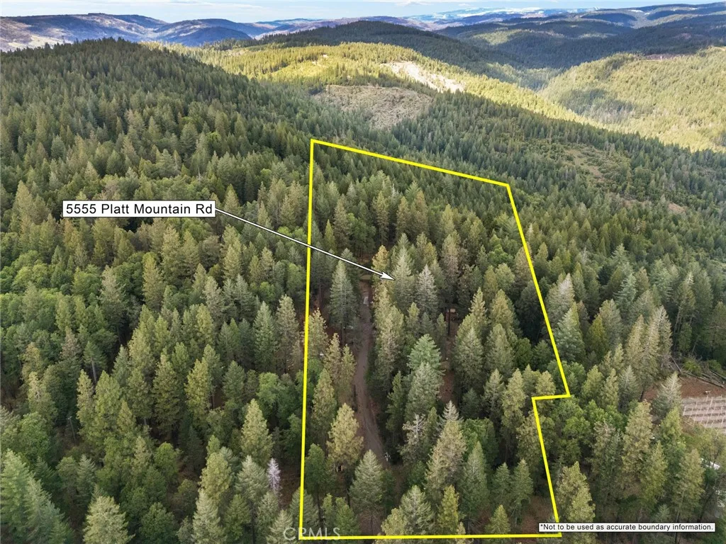 Beautiful, spacious 5 acres
