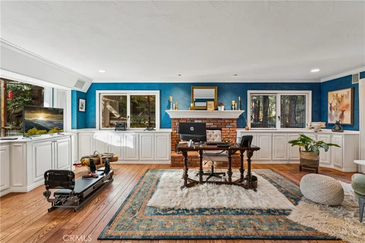 Lower lever living room