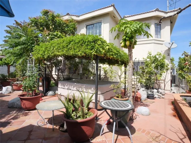 Garden Backyard & Back Elevation