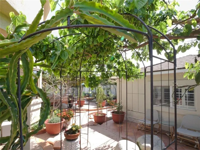 Backyard Garden