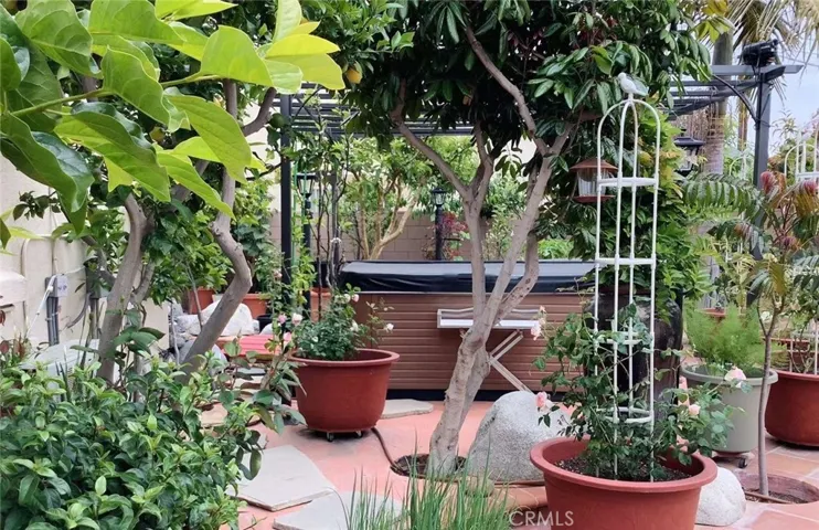 Backyard Garden