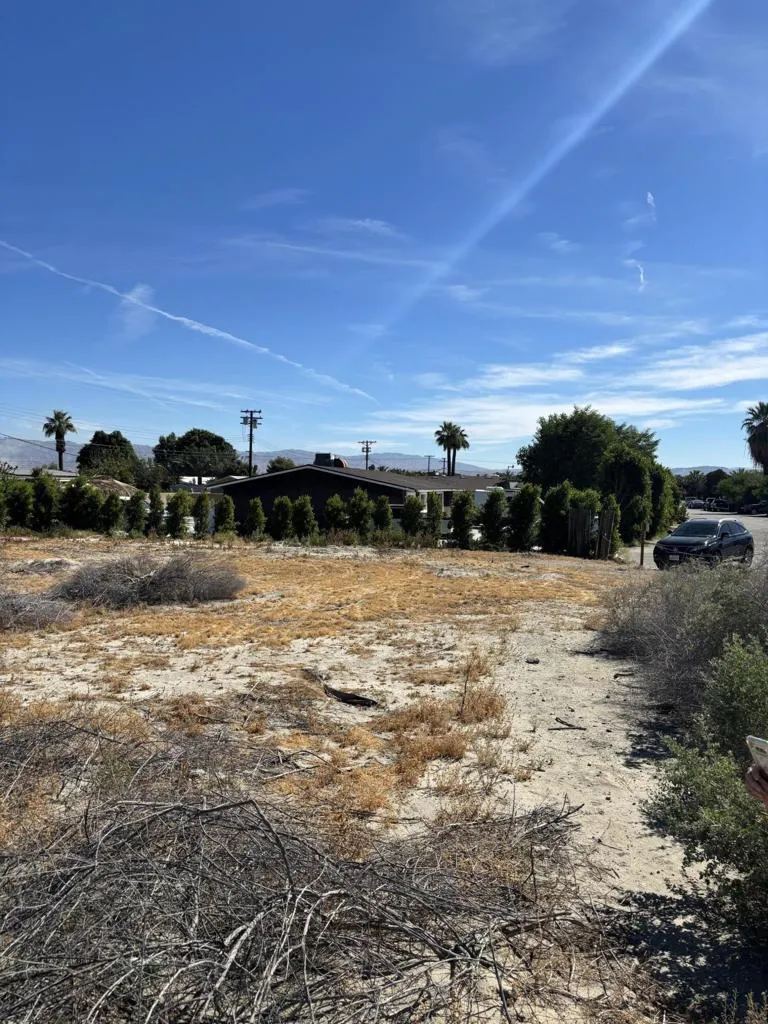 Sandra Sandra Drive S, Thermal, California 92274 — photo 4