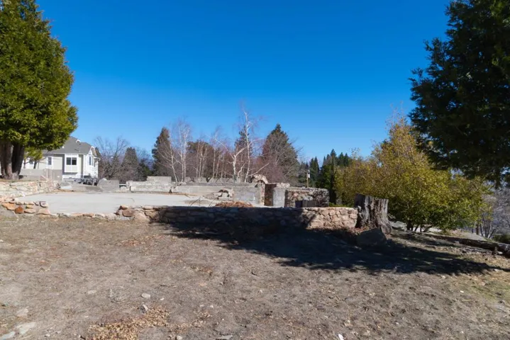 DSC01307