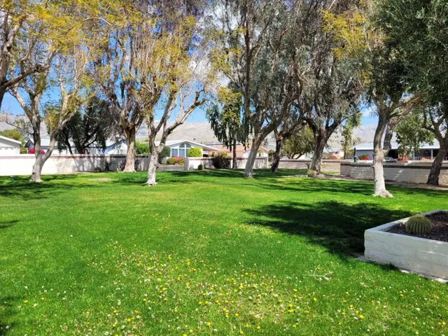 Grassy area by Covered Picnic Area