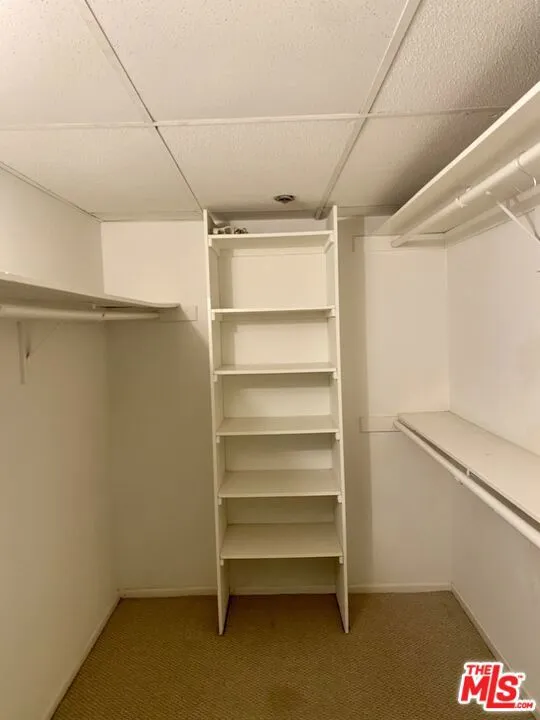PRIMARY BEDROOM WALK-IN CLOSET