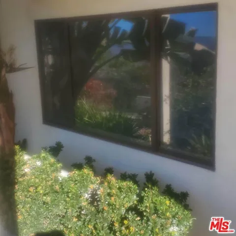Kitchen window