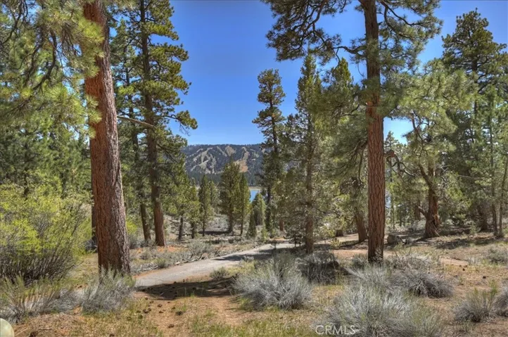 4 Lakeview Track, Fawnskin, California 92333