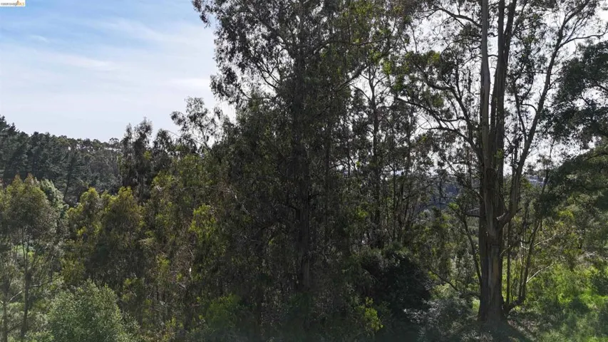 2551 Tunnel Rd, Oakland, California 94611 — photo 5