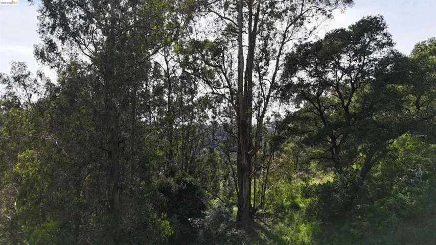 2551 Tunnel Rd, Oakland, California 94611 — photo 4