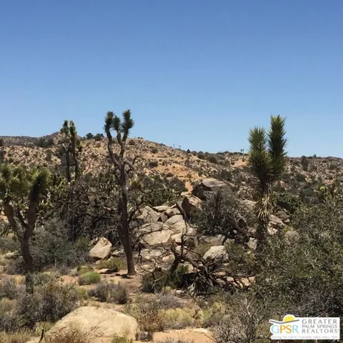 1430 Orion, Pioneertown, California 92268 — photo 4