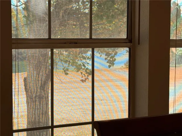 The trees offer great shade here on the breakfast nook windows during the sunniest time of day.